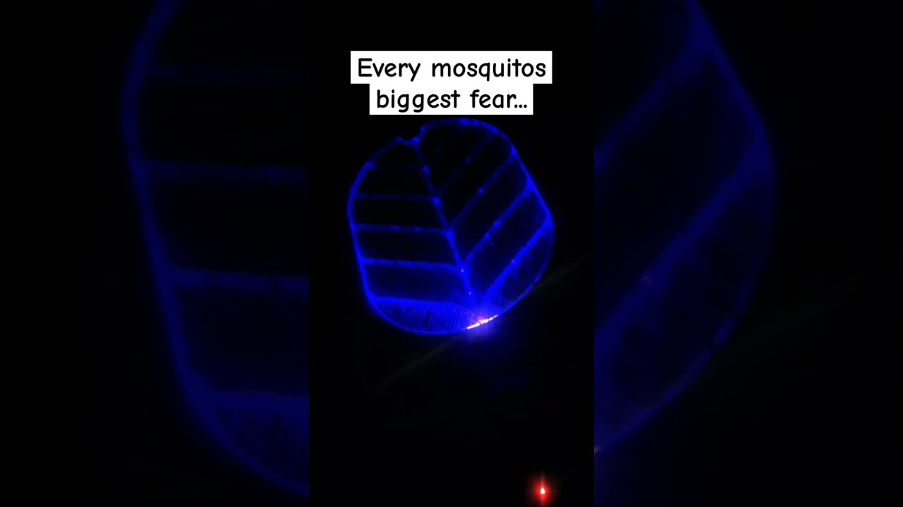 Idk Wtf Did I Just Make 