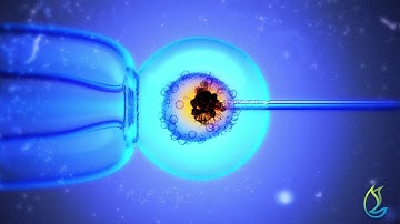 Cell animation - DDF 3D and VFX