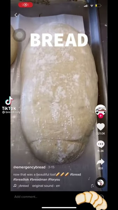 Bread