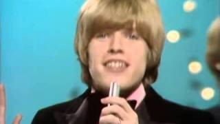 Video thumbnail of "Herman's Hermits - There's A Kind Of Hush"