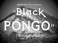 Black pongo 2021 al burnett movie