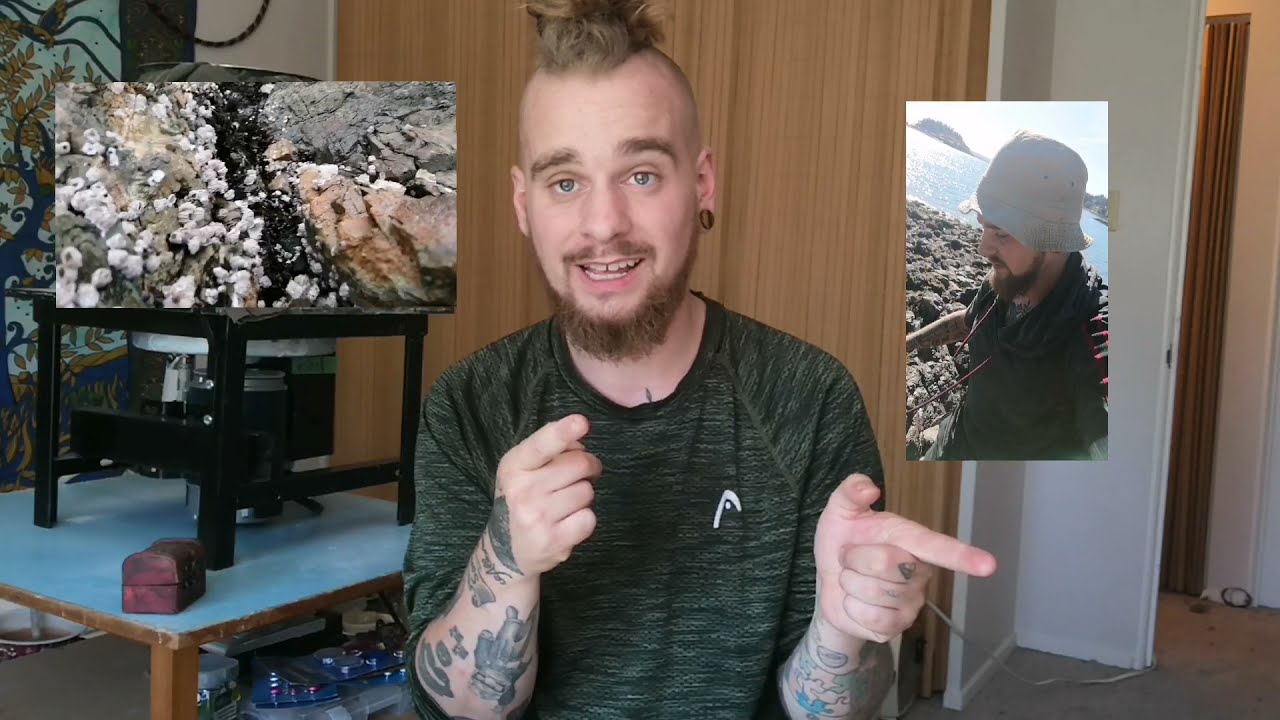 Nanaimos hidden GEM!... Agate location revealed!!!