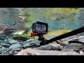 How To film Pink Salmon Underwater Using Action Cameras!
