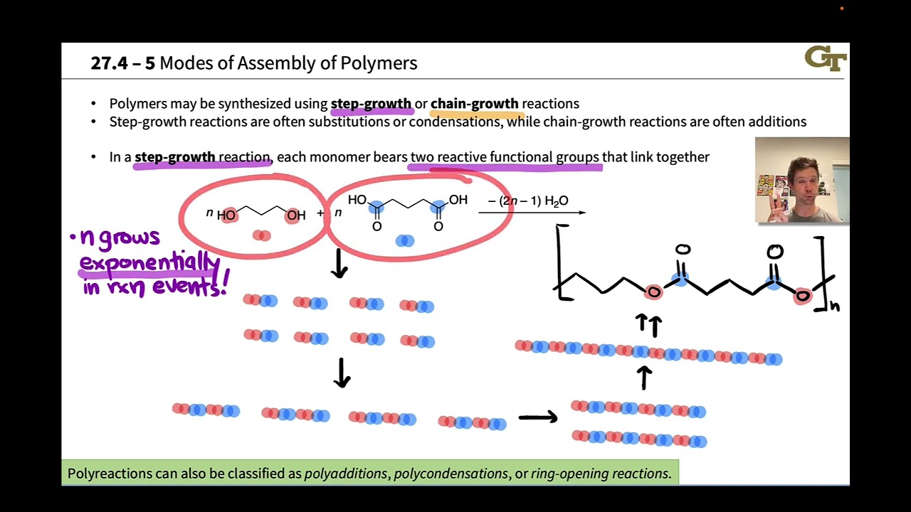 Step-growth and Chain-growth Polymerizations