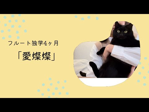 フルート初心者独学4ヶ月