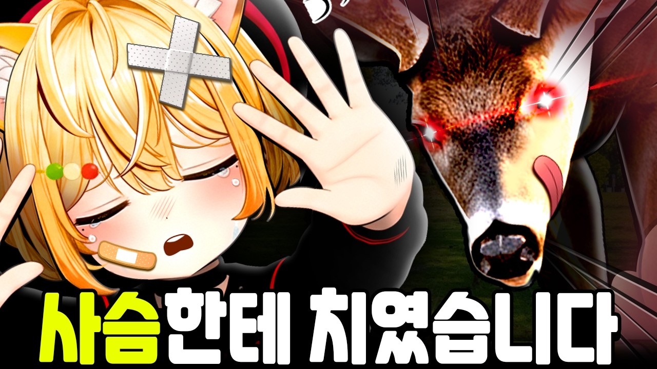 일본 여행 중 사슴한테 치였습니다