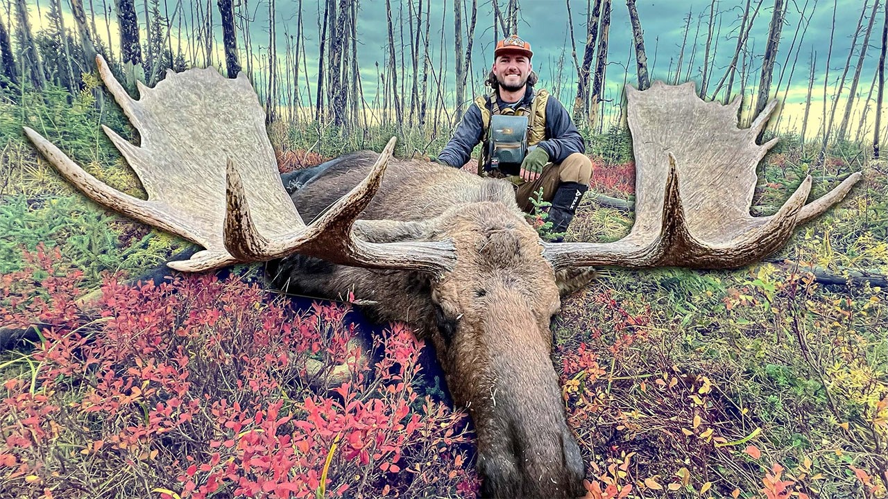 Охота на гигантского самца лося на Аляске | Самостоятельная охота с палаточного лагеря | Человек,...