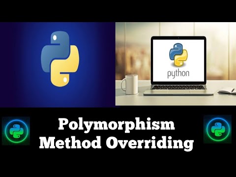#49 Python Polymorphism | Method Overriding