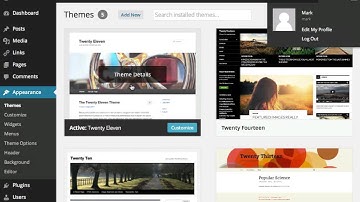 Wordpress Training Video 8 | Introduction To Wordpress Themes | Baer On Marketing