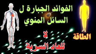 توقف عن ضياع طاقتك المنوية في العادة السرية | شاهد قيمة السائل المنوي