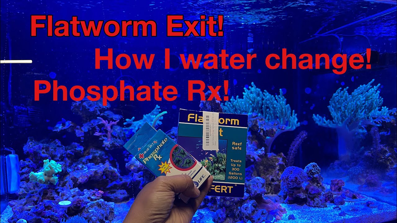Phosphate Control And Water Changes In Reef Tanks Explained