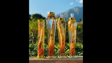 Nhục thung dung ngâm rượu và công dụng thần kỳ