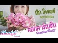 ดอกคาร์เนชัน โครเชต์ Carnation Crochet | Cheerful Handmade