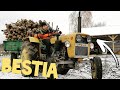 URSUS C328 vs 10ton? Załadunek drewna ZETOR 10145 I URSUS 912 Vlog 14