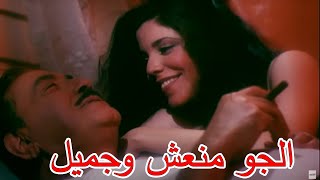 حالك لما تجيب مزه وتبدل عليها انت وصحبك ?? قنبلة ضحك مع الزعيم #الواد_محروس_بتاع_الوزير