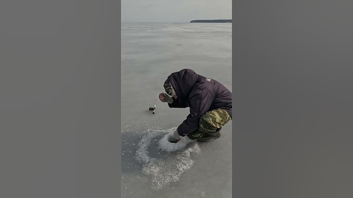 Досадный сход судака в лунке