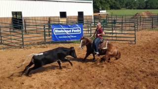 Booningdales - Ranch Sorting