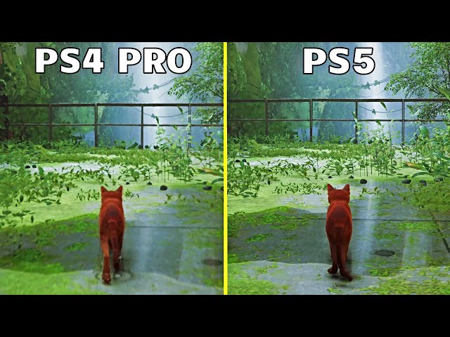Stray: comparativo analisa os gráficos e desempenho no PS4, PS5