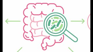 Promoting Good Gut Health