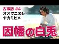 【古事記】因幡の白兎と大国主。神々の愛と嫉妬の物語