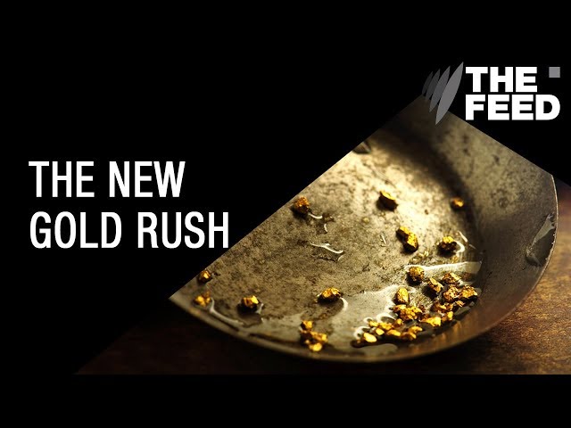 Aspen's Entrepreneurial Gold Rush - The Purist