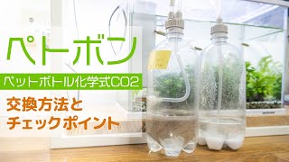 格安CO2添加！ペットボトル化学式CO2の交換手順＆チェックポイント #アクアリウム #水草水槽