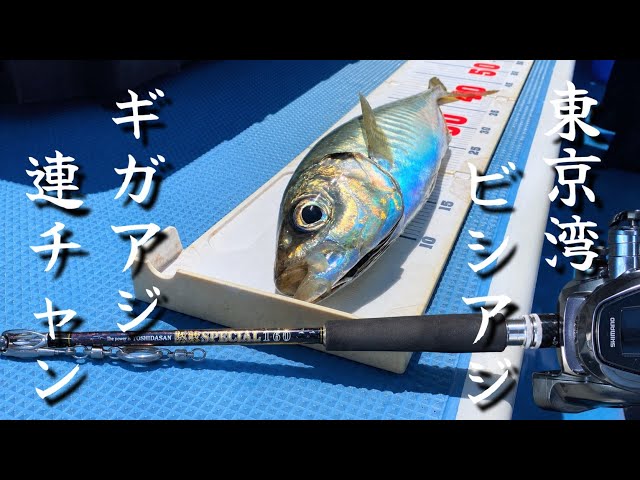 当時物 1983年 釣具 観覧 YouTube