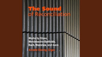 Prelude and Fugue in E Minor, Op. 35 No. 1: I. Prelude, MWV U116, Allegro con fuoco (Arr....