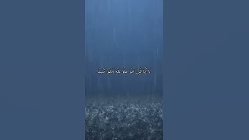 واتس اب قران كريم القارئ صلاح بوخاطر من سورة (الأحزاب)
