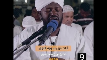 ايات من سورة #النمل  - شيخ نورين محمد صديق