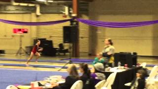 Flip Fest 2015 vault