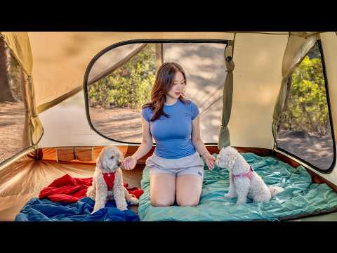 My First Camping Trip with Two Dogs in Nature | How to Relieive Pain While Camping thumbnail