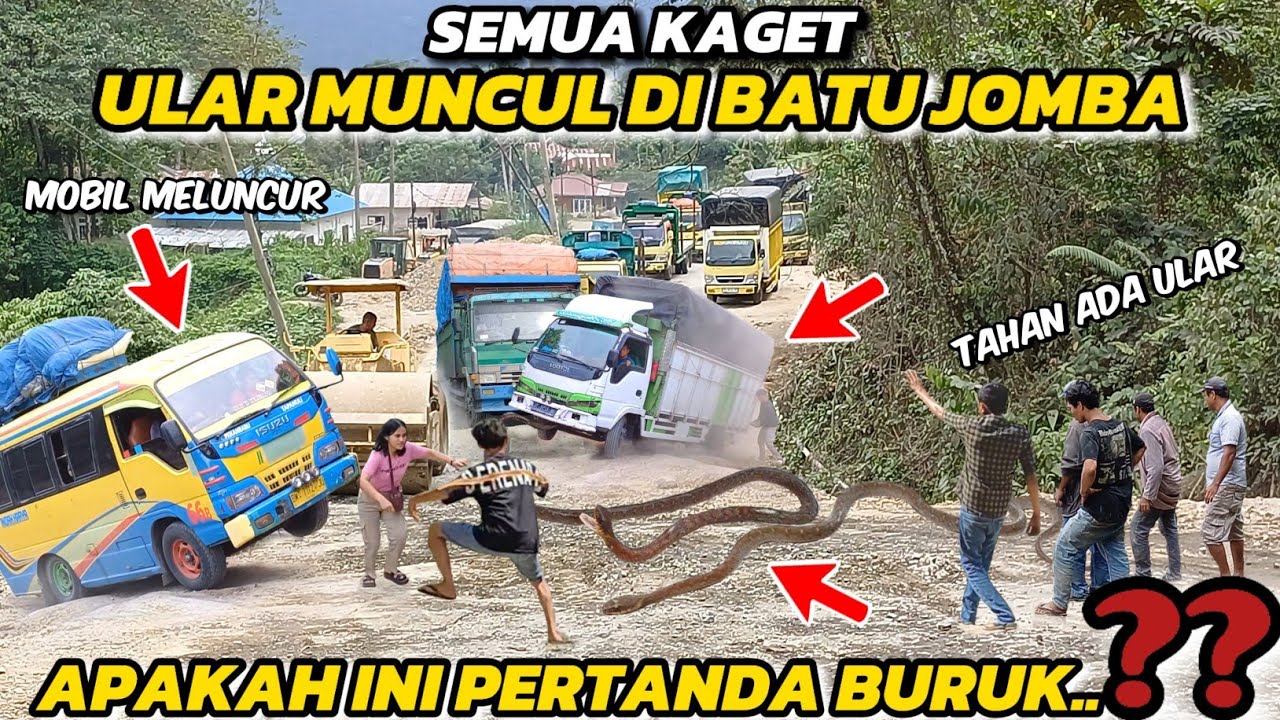 Появляется змея, и машина сворачивает почти в овраг в Бату-Джомбе