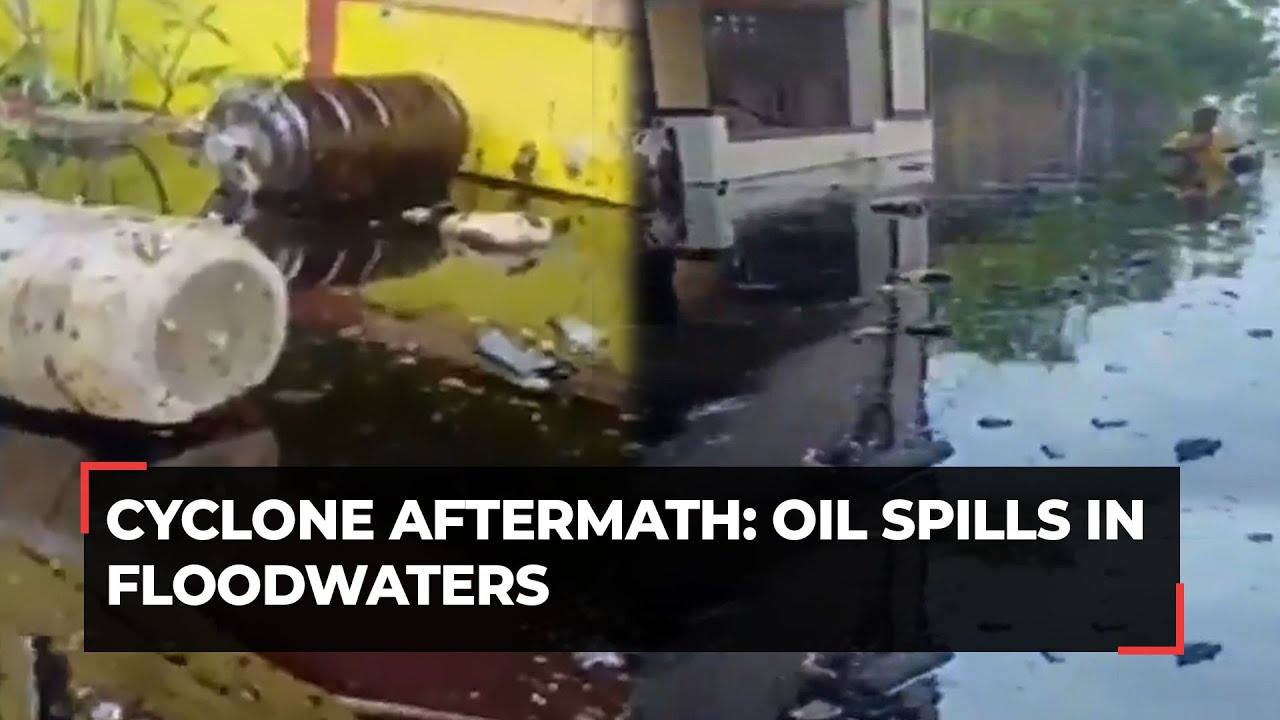 Cyclone Michaung aftermath: Oil spills in floodwaters of TN's Ennore ...