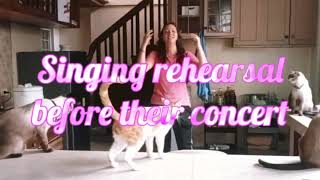 Rehearsal before their concert 😹😹😼 by SNOWY THE MAGNIFICAT 38 views 1 year ago 14 seconds