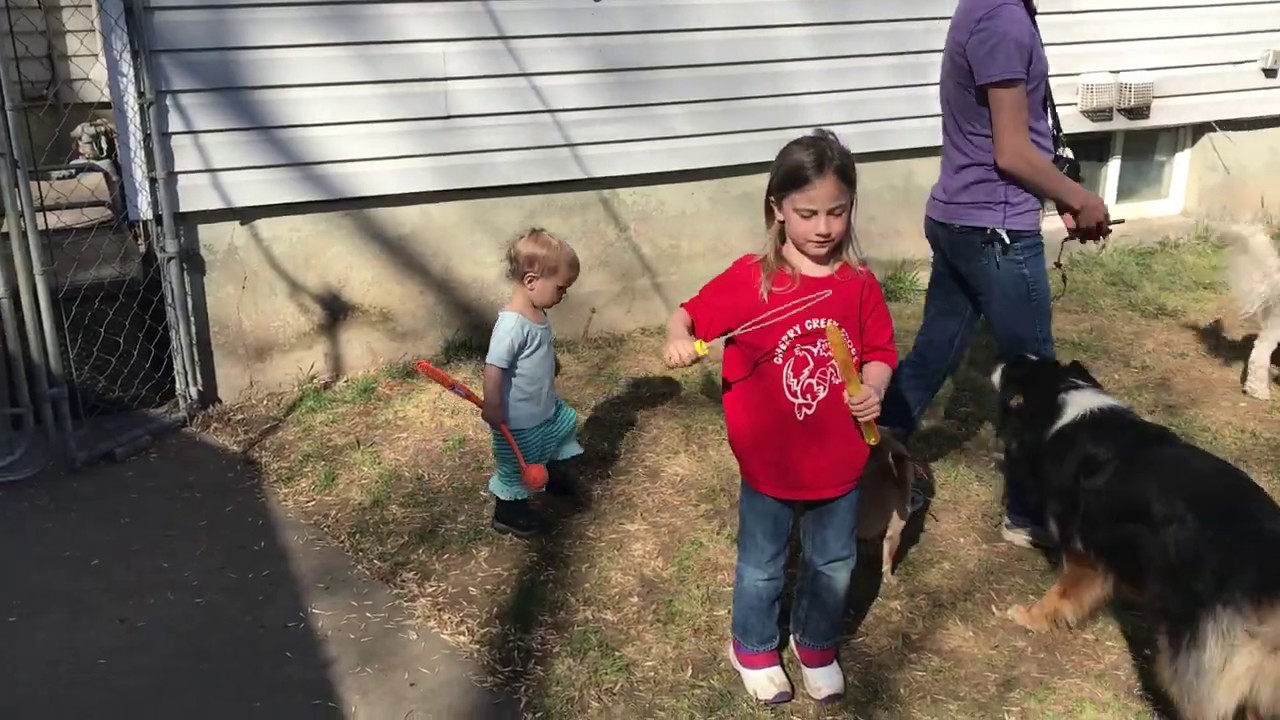 Kids & Dogs How a toddler can walk among the dogs Bakers Acres K9