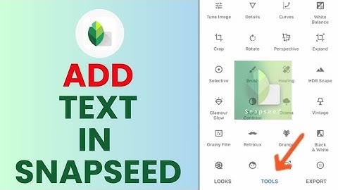 How to Add Text in Snapseed App 2024?