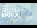 オルゴール♫ 「春なのに」/ 柏原芳恵 fullsize 中島みゆき作詞・作曲 卒業ソング
