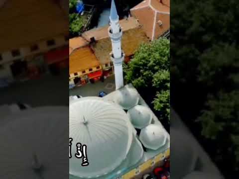 ٩ فبراير ٢٠٢٥