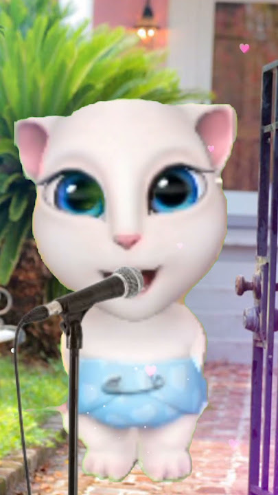 cat comedy video cat funny video new video comedy bilar comedy video cat new video comedy video cat