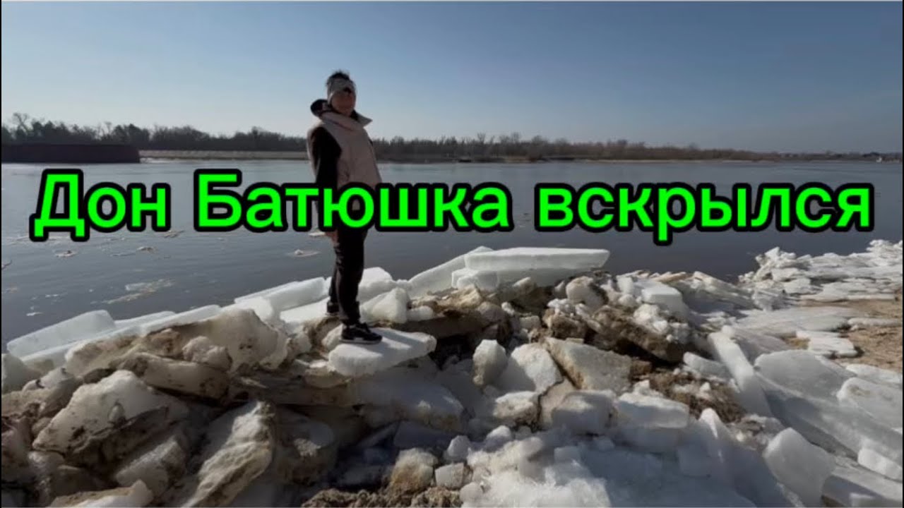 А мы по грибы 