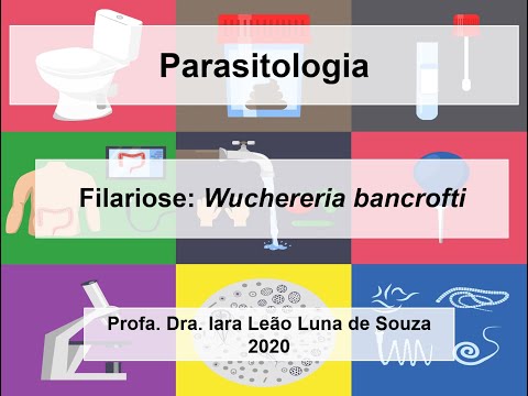 Filariose: Wuchereria bancrofti