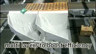 Industrial Spiral Chute Conveyor for Smooth Package Transfer in Distribution Centers