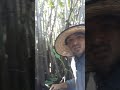 têm  muito  mosquito  nesse  Rio!
