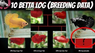 BETTA BREEDING DATA / BETTA LOG FOR KNOWLEDGE AND REFERENCE