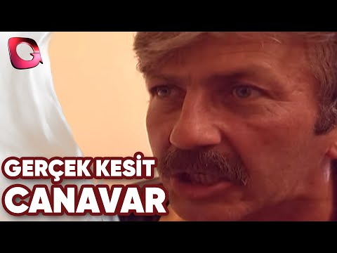 GERÇEK KESİT - CANAVAR