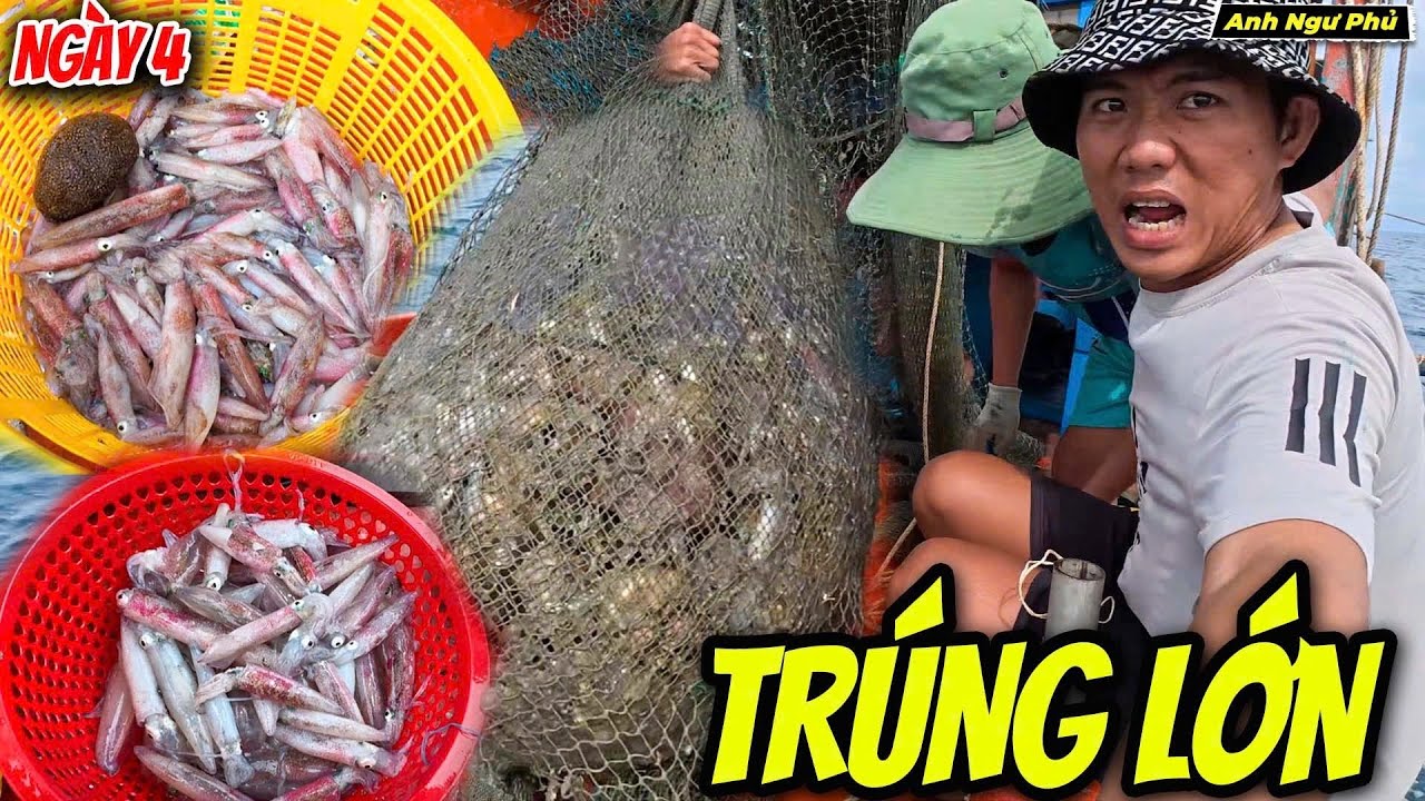 Ngư Dân Hôm Nay Trúng Lớn • Cào Mực Đảo Nam Du Ngày  4 | Anh Ngư Phủ