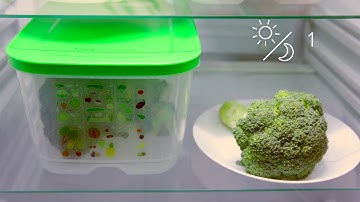 VentSmart Tupperware