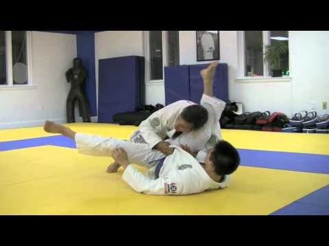 Brazilian Jiu-Jitsu: Pedro Sauer Helio Gracie Guard Pass