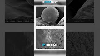 A closer look tells a bigger story 🔬 #materialsscience #science #failureanalysis